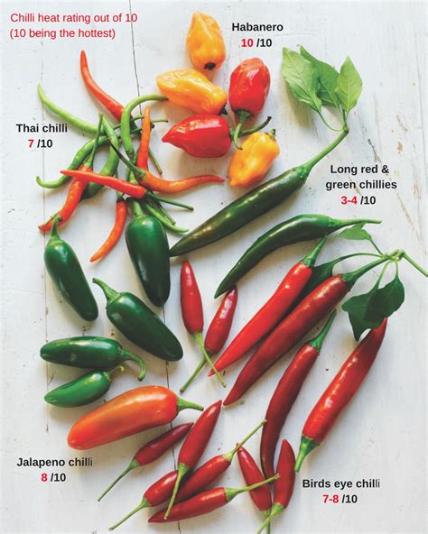 Type of chili. Things To Know About Type of chili. 